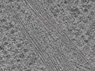 key visualization for L1_P1_ts_003