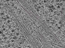 key visualization for L1_P1_ts_003