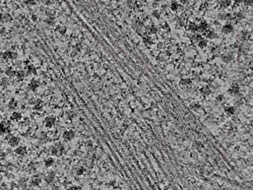 key visualization for L1_P1_ts_003