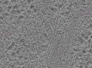 key visualization for L1_P1_ts_004