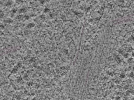 key visualization for L1_P1_ts_004