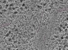 key visualization for L1_P1_ts_004