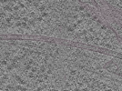 key visualization for L1_P1_ts_005