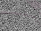 key visualization for L1_P1_ts_005