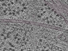 key visualization for L1_P1_ts_005