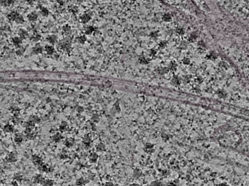 key visualization for L1_P1_ts_005