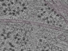 key visualization for L1_P1_ts_005