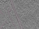 key visualization for L1_P1_ts_006