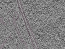 key visualization for L1_P1_ts_006