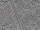 key visualization for L1_P1_ts_006