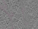 key visualization for L1_P1_ts_007