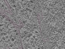key visualization for L1_P1_ts_007