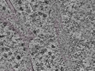 key visualization for L1_P1_ts_007