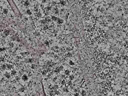 key visualization for L1_P1_ts_007