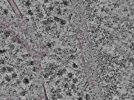 key visualization for L1_P1_ts_007