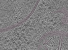 key visualization for L1_P1_ts_010