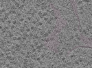 key visualization for L1_P1_ts_011