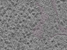 key visualization for L1_P1_ts_011