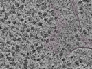 key visualization for L1_P1_ts_011