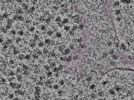 key visualization for L1_P1_ts_011