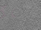 key visualization for L1_P1_ts_012