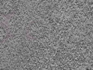 key visualization for L1_P1_ts_012