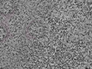 key visualization for L1_P1_ts_012