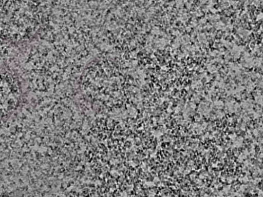 key visualization for L1_P1_ts_012