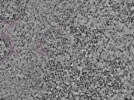 key visualization for L1_P1_ts_012
