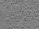 key visualization for L1_P1_ts_013
