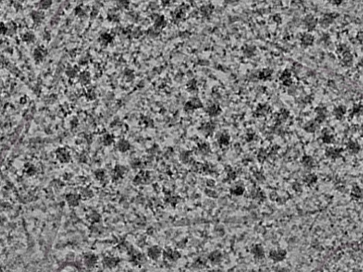key visualization for L1_P1_ts_013