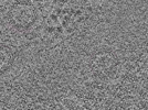 key visualization for L1_P1_ts_014