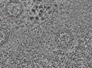 key visualization for L1_P1_ts_014