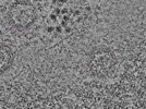 key visualization for L1_P1_ts_014