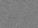 key visualization for L1_P1_ts_015