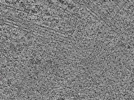 key visualization for L1_P1_ts_015