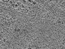 key visualization for L1_P1_ts_015