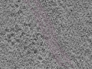 key visualization for L1_P2_ts_002