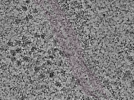 key visualization for L1_P2_ts_002
