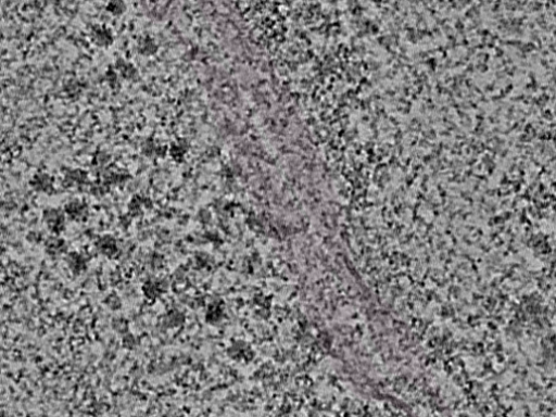 key visualization for L1_P2_ts_002