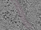 key visualization for L1_P2_ts_002