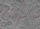 key visualization for L1_P2_ts_003