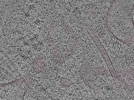 key visualization for L1_P2_ts_005