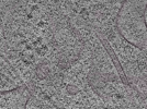 key visualization for L1_P2_ts_005