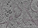 key visualization for L1_P2_ts_005