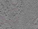 key visualization for L1_P2_ts_006