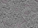 key visualization for L1_P2_ts_007