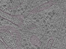 key visualization for L1_P2_ts_009