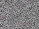 key visualization for L1_P2_ts_009