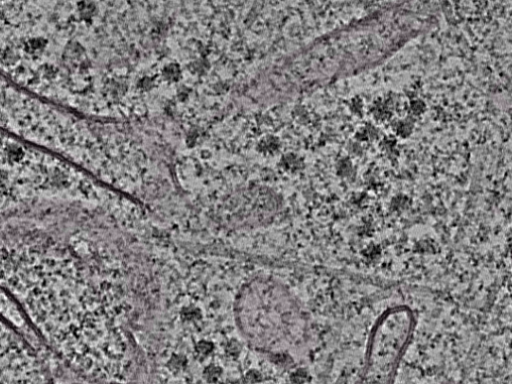 key visualization for L1_P2_ts_009